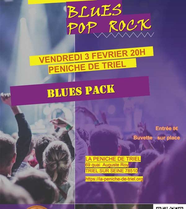 Concert Blues Pop Rock avec BluesPack le vendredi 3 février