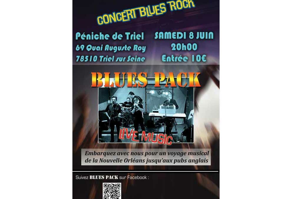 Concert Blues Rock samedi 8 juin à 20 heures à la Péniche de Triel